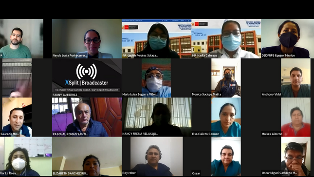 Médicos de Lima, Moquegua, Pasco, Tacna y Ucayali participaron en sesión de reforzamiento sobre la norma de discapacidad