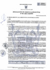 Vista preliminar de documento RGM_041_2020_MPH.pdf