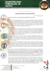 Vista preliminar de documento RESOLUCION GERENCIAL-044-GM.pdf