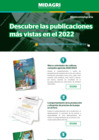 Vista preliminar de documento Publicaciones más consultadas| 2022