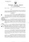 Vista preliminar de documento Resolucion de Gerencia 029