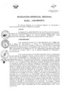 Vista preliminar de documento Resolucion de Gerencia 006