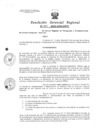 Vista preliminar de documento Resolucion de Gerencia 001