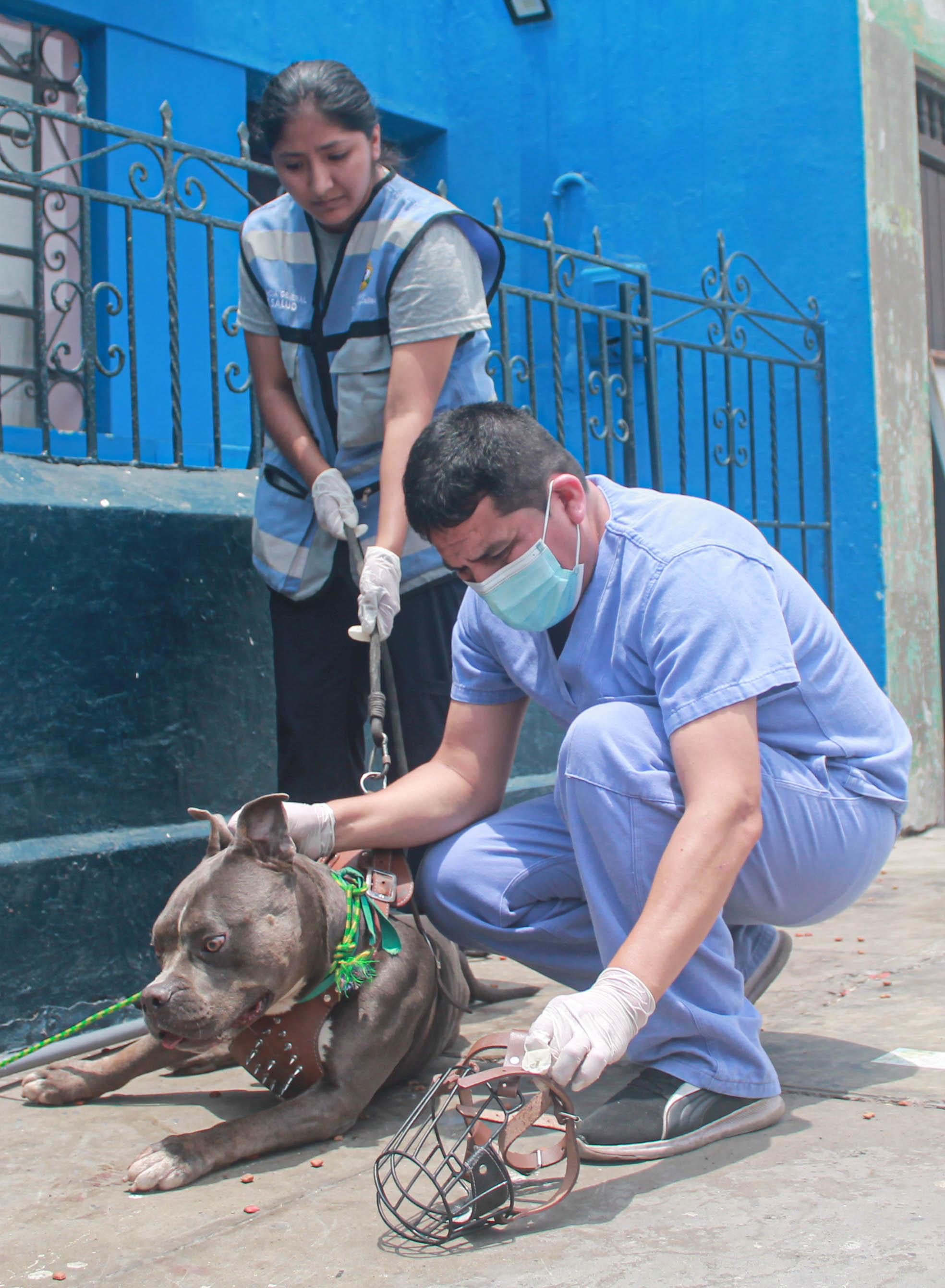 ¡En el Callao, también cuidamos de los animalitos!