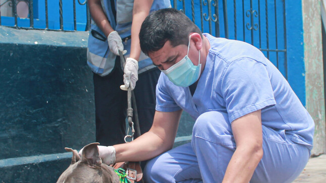 ¡En el Callao, también cuidamos de los animalitos!