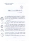 Vista preliminar de documento Resolucion Directoral