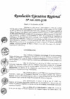 Vista preliminar de documento Resolucion Ejecutiva Regional N°446-2020-GOB
