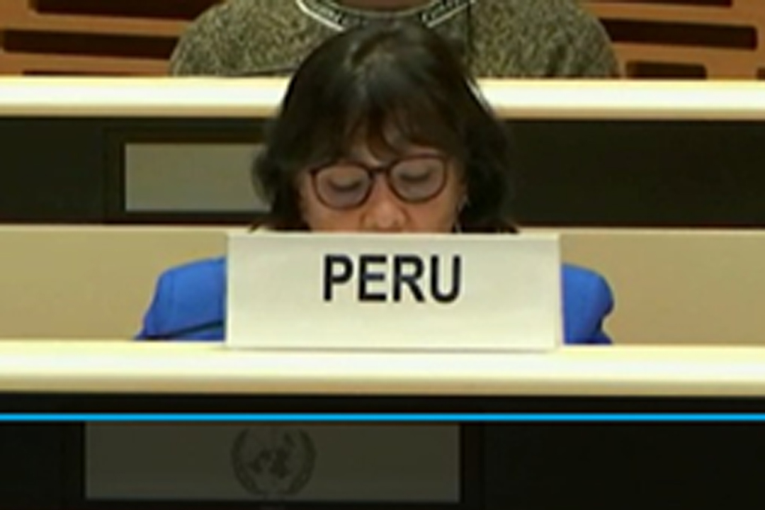 Embajadora y Representante alterna Romy Tincopa ante el CEDAW