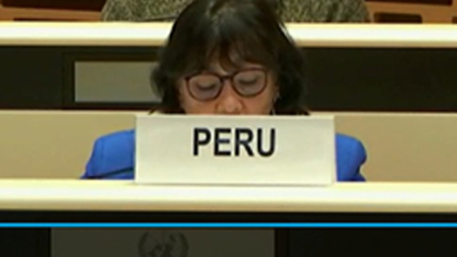 Embajadora y Representante alterna Romy Tincopa ante el CEDAW