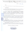 Vista preliminar de documento Resolución Ejecutiva Regional
