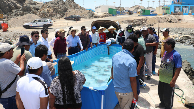 hoy la alcaldesa de la Municipalidad Distrital de Ite Sra. Urbelinda Chacón Diaz sostuvo un encuentro con los integrantes de la Asociación de Pescadores Artesanales Cruz de Picata Ite. 