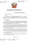 Vista preliminar de documento RD 041-2023