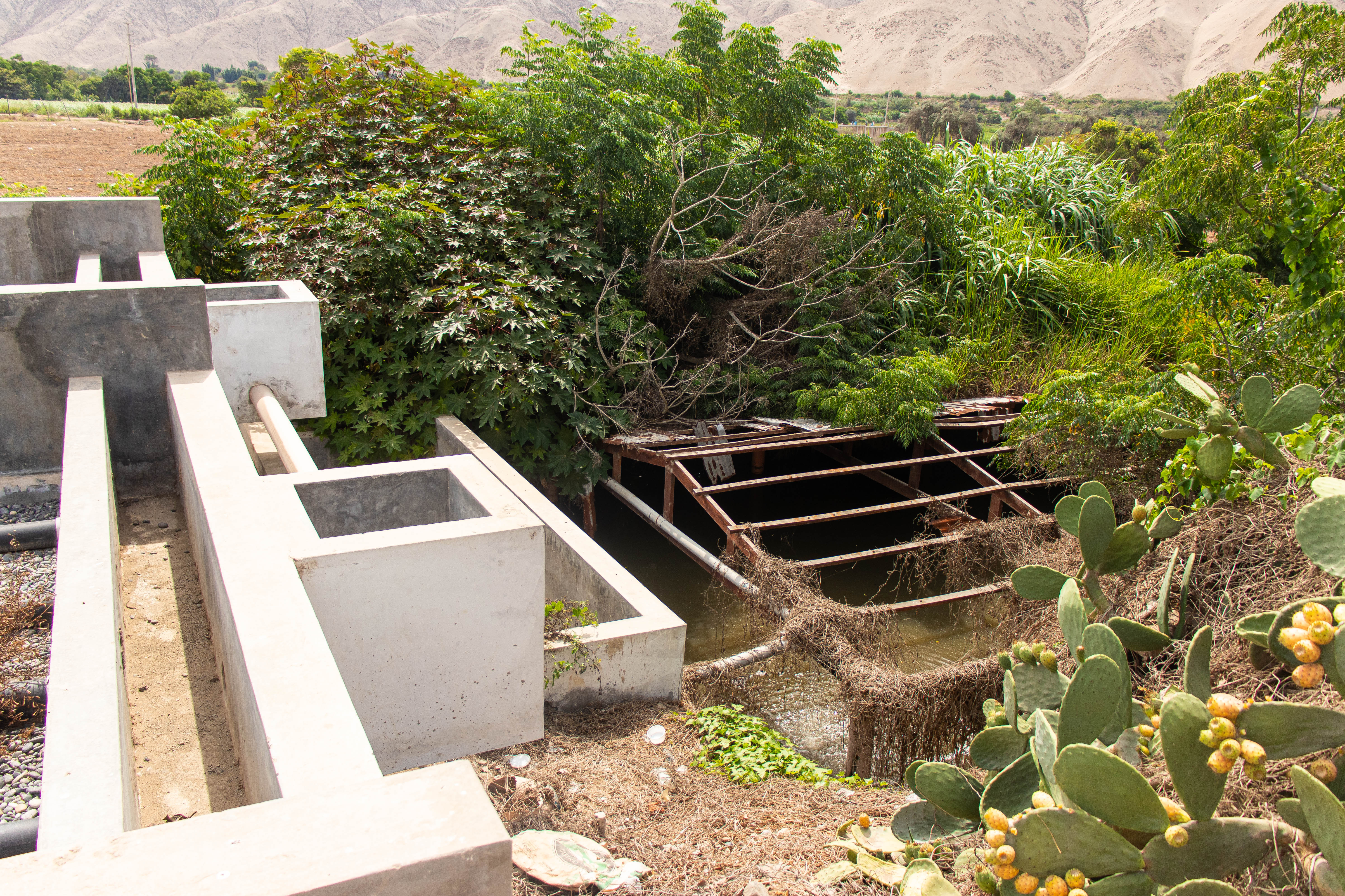 A solicitud del municipio, Emapa Cañete interviene la laguna de oxidación ubicada en Ihuanco y evalúan la optimización de agua potable.
