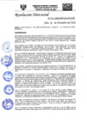 Vista preliminar de documento RD-N-250-2020.pdf