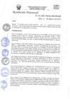 Vista preliminar de documento RD-N-247-2021.pdf