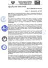 Vista preliminar de documento RD-N-247-2020.pdf
