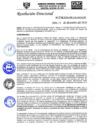 Vista preliminar de documento RD-N-246-2020.pdf