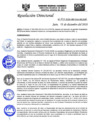 Vista preliminar de documento RD-N-243-2020.pdf