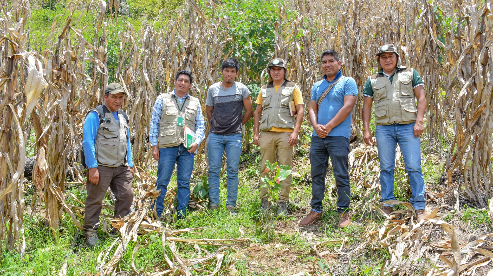 A fin de garantizar la correcta ejecución del Proyecto Cacao, el gerente de la Gerencia de Desarrollo Económico y Productivo de la Municipalidad Distrital de Santa Rosa, Ing. Grover Gamboa Villalobos, el especialista en Monitoreo de Proyectos y Actividades de la Comisión Nacional para el Desarrollo y Vida sin Drogas (Devida), Ing. Juan Víctor Antonio Meneses