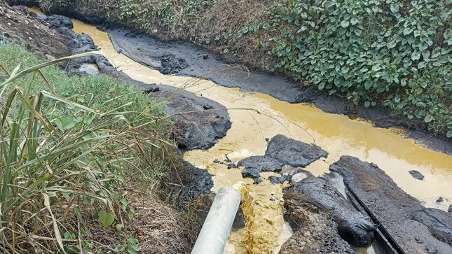 OEFA ordena a Oleaginosas Pucallpa paralizar actividades en su Planta Campo Verde