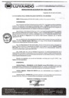 Vista preliminar de documento RESOLUCION ALCALDIA 004.pdf