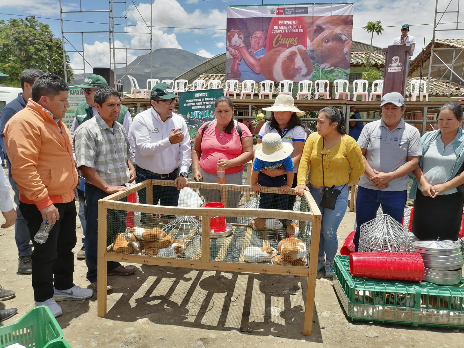 Módulos de crianza cuyes - Cajamarca