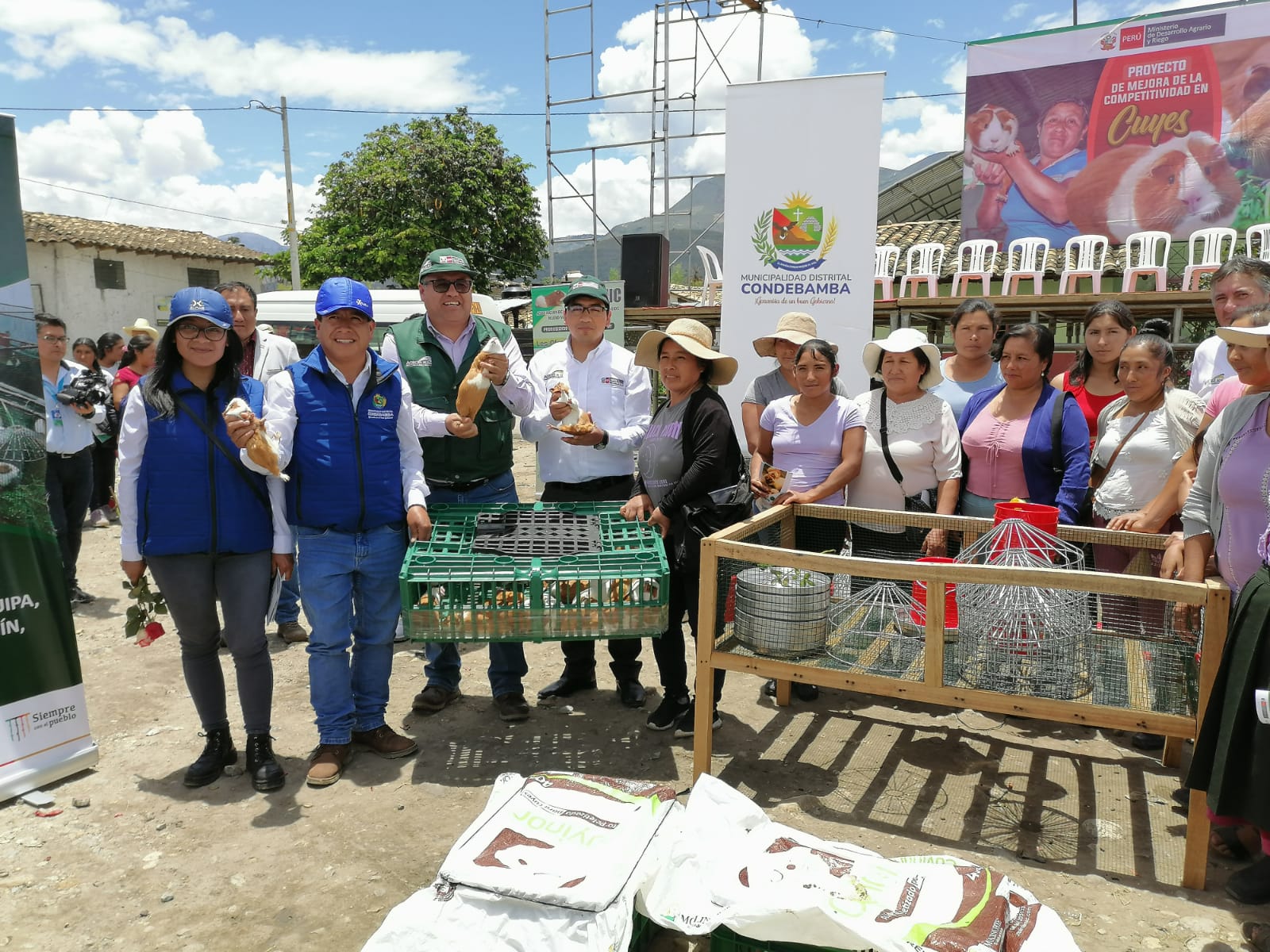 Módulos de crianza cuyes - Cajamarca