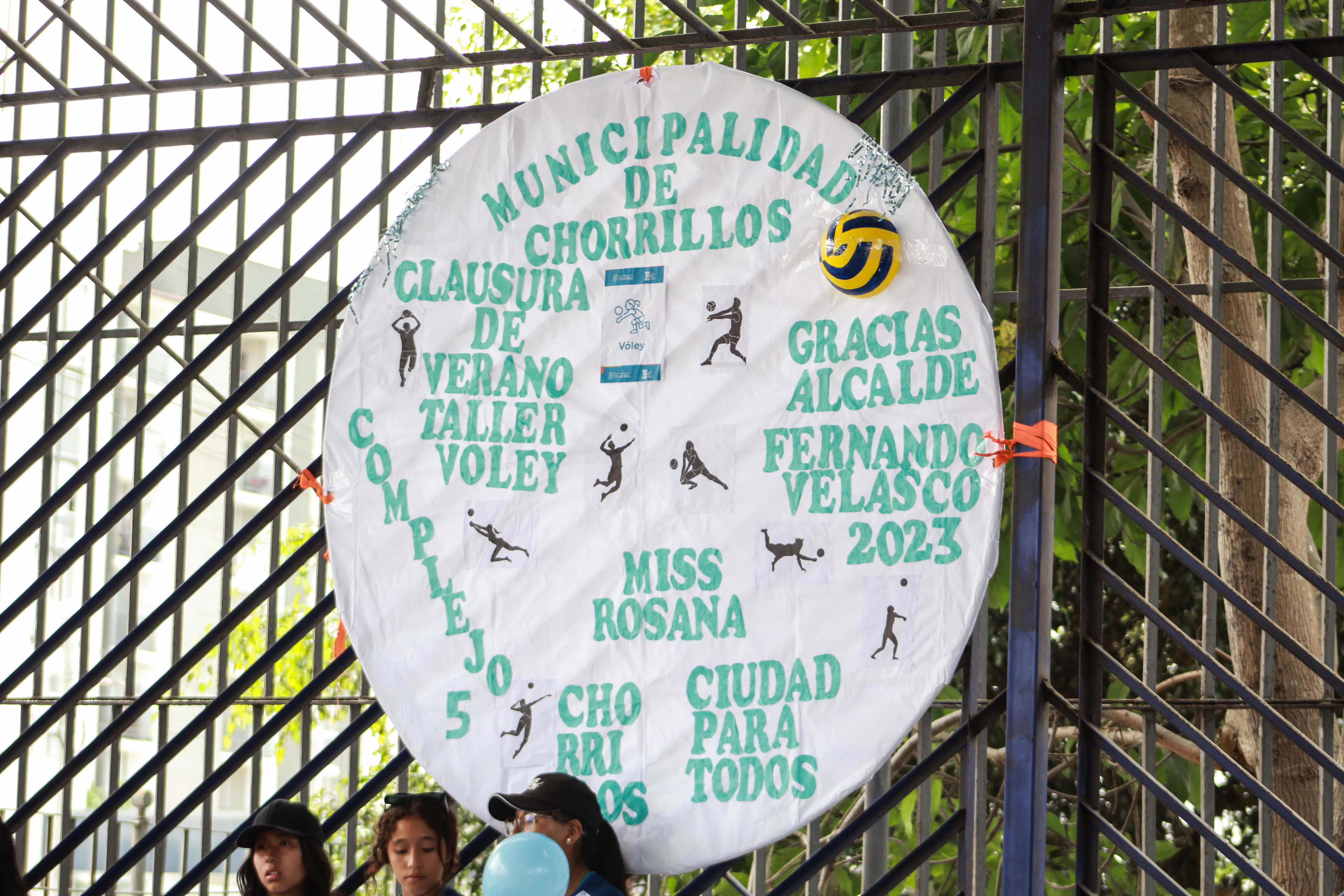 Voleibol