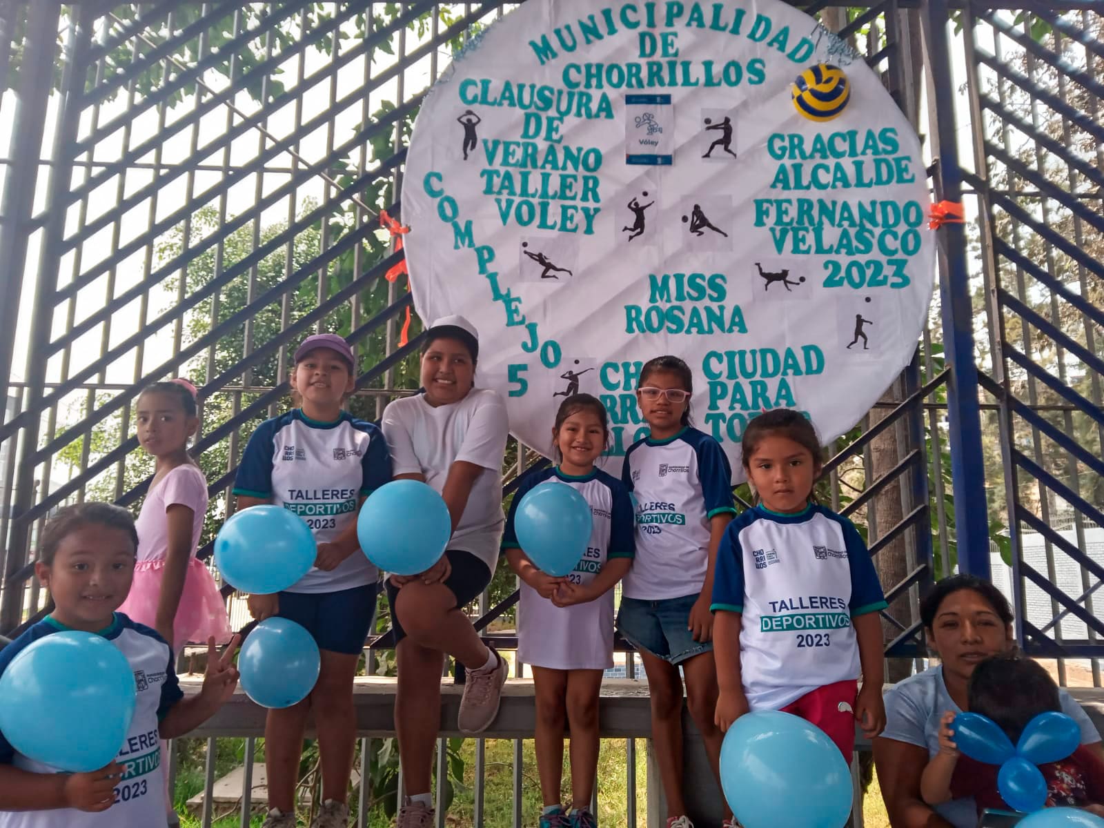 Voleibol