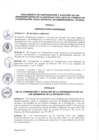Vista preliminar de documento REGLAMENTO DE PARTICIPACION Y ELECCION.pdf