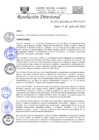 Vista preliminar de documento RD-N-213-2021.pdf