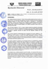 Vista preliminar de documento RD-N-211-2020.pdf