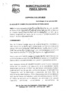 Vista preliminar de documento Ordenanza Municipal N° 005-2009-MDPN