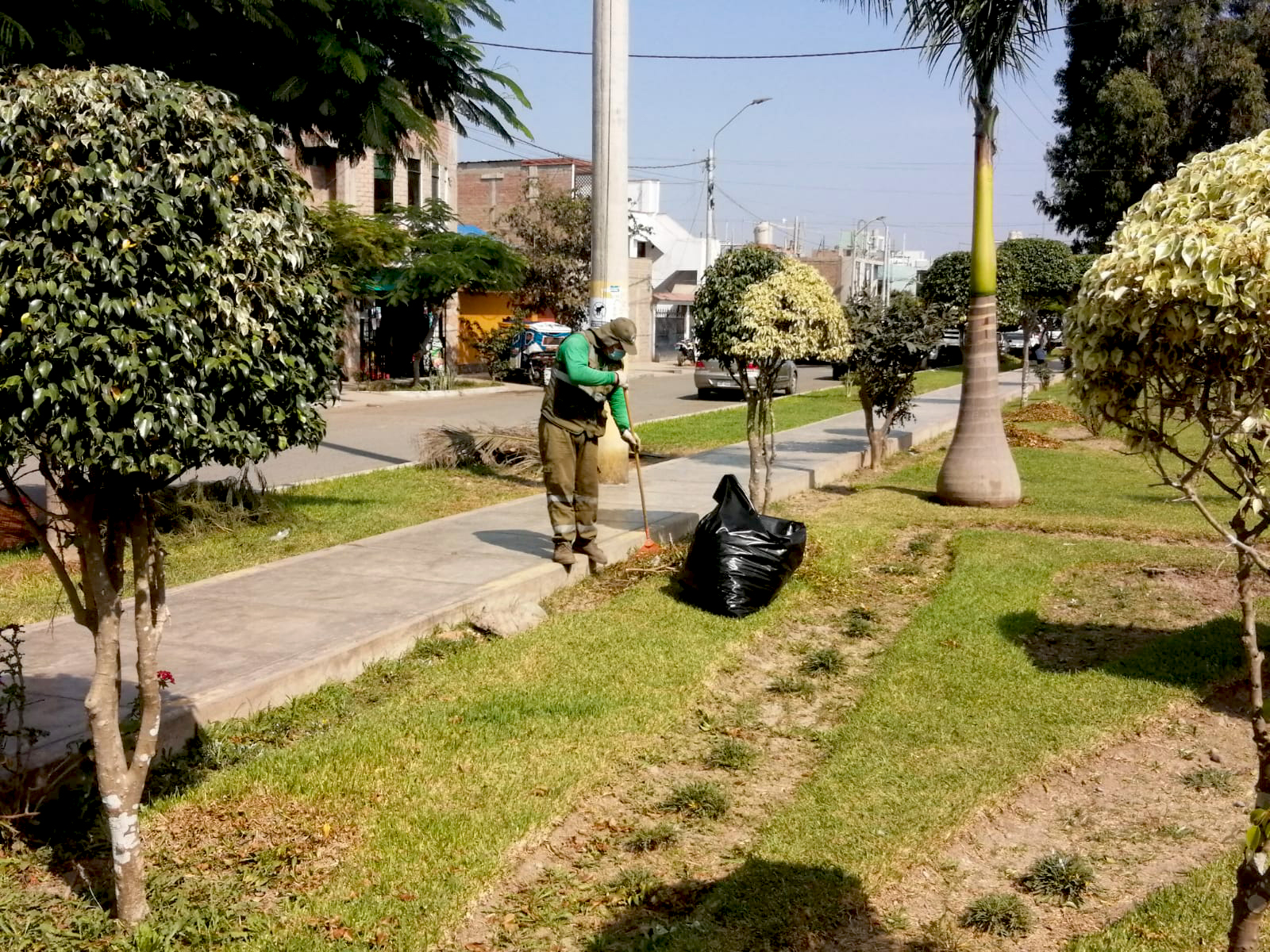 Seis parques huaralinos fueron limpiados, podados y regados