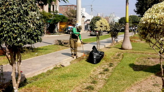 Seis parques huaralinos fueron limpiados, podados y regados