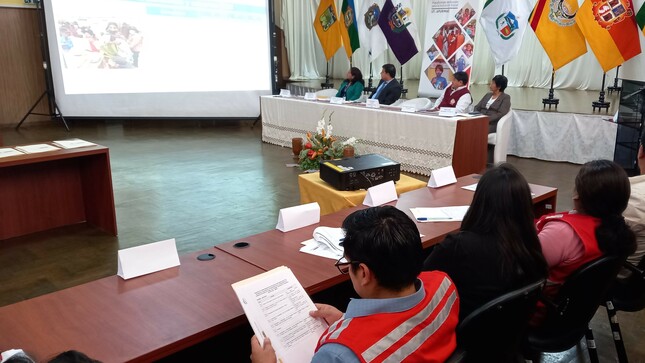 Modelo de cogestión