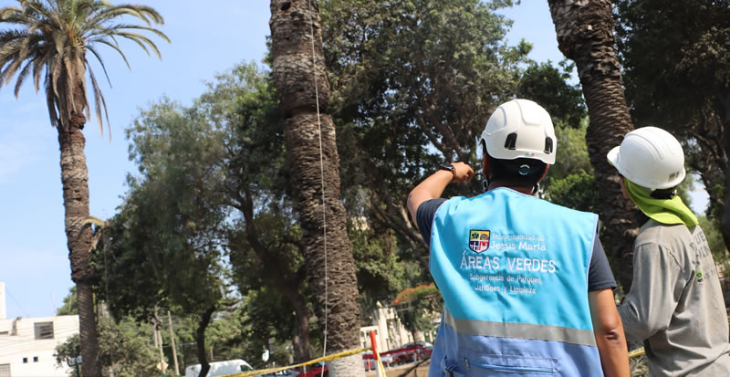 Continuamos recuperando las áreas verdes de nuestro distrito