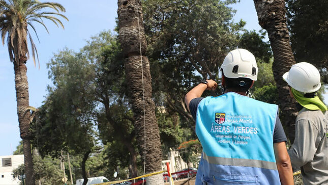 Continuamos recuperando las áreas verdes de nuestro distrito