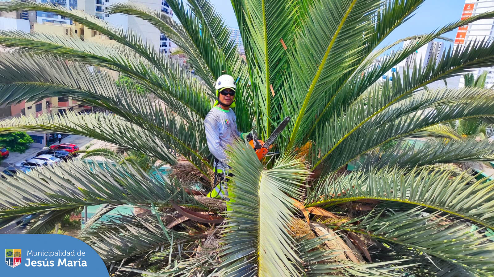 Continuamos recuperando las áreas verdes de nuestro distrito