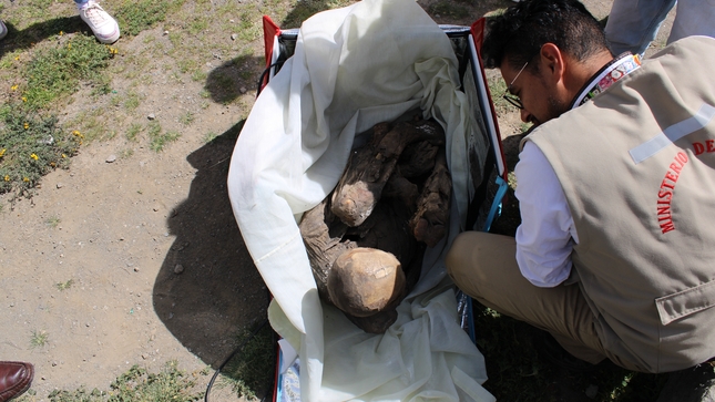 Puno: Ministerio de Cultura recuperó bien cultural prehispánico identificado como una momia