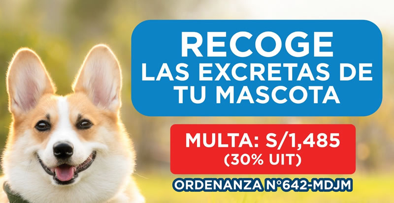 Afiche para recoger las excretas de las mascotas