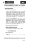 Vista preliminar de documento Bases del Concurso de CAS N° 001-2023-OSCE