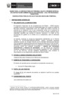 Vista preliminar de documento Bases del Concurso de CAS N° 002-2023-OSCE