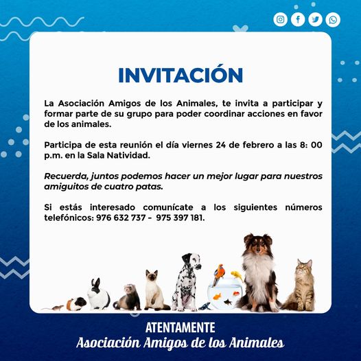 Asociación Amigos de los Animales