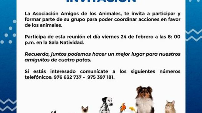 Asociación Amigos de los Animales