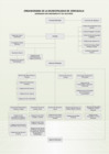Vista preliminar de documento ORGANIGRAMA-MDC-2015.pdf