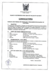 Vista preliminar de documento RGM_095_2020_MPH.pdf