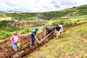 Foto de agricultores