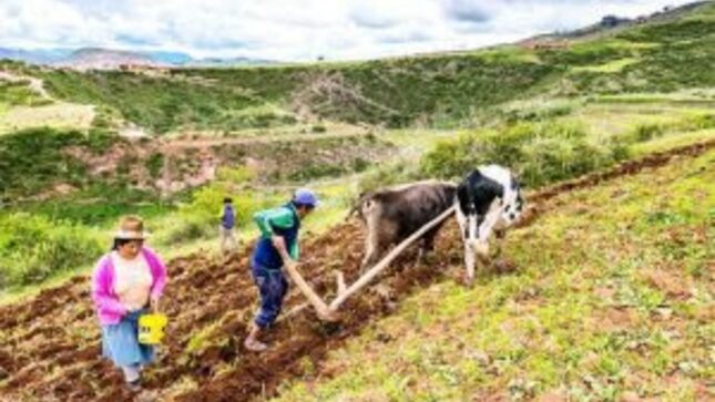 Foto de agricultores