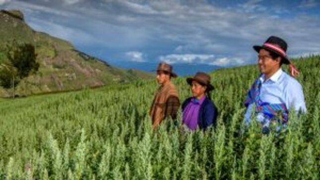 Agricultores en el campo